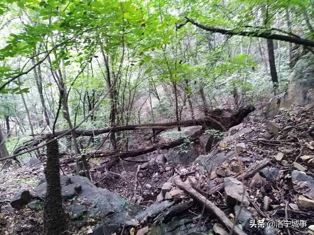 洛宁程志民——马营山游记（图12）