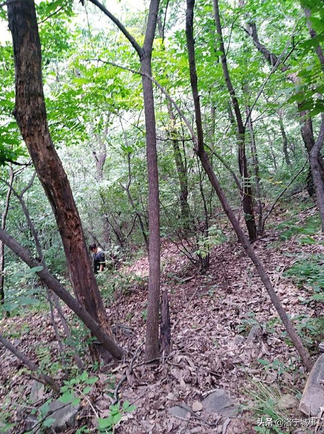 洛宁程志民——马营山游记（图13）