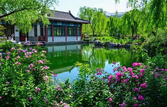 济南五龙潭景区即将免费开放！市区又多了一处免费景点！（图5）