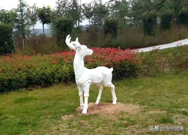 国庆观景健身好去处——洛宁滨河公园四号橡胶坝(图7)