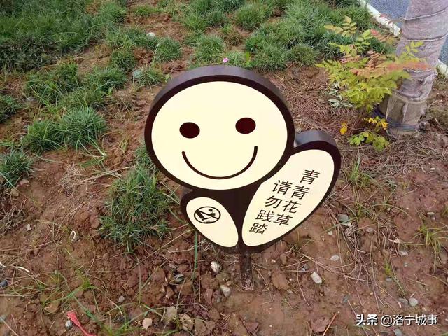 国庆观景健身好去处——洛宁滨河公园四号橡胶坝(图9)