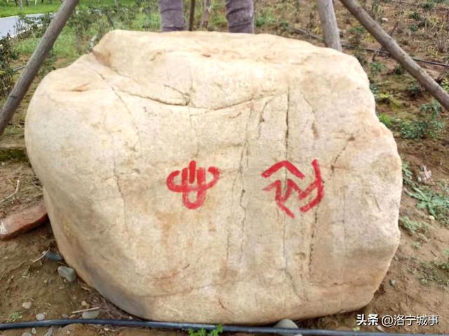 国庆观景健身好去处——洛宁滨河公园四号橡胶坝(图13)