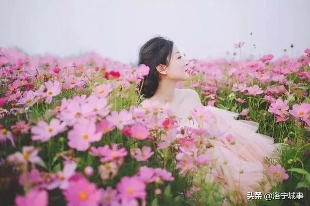 洛阳洛宁：一城风情半是花 招“蜂”引“蝶”美如画（图9）