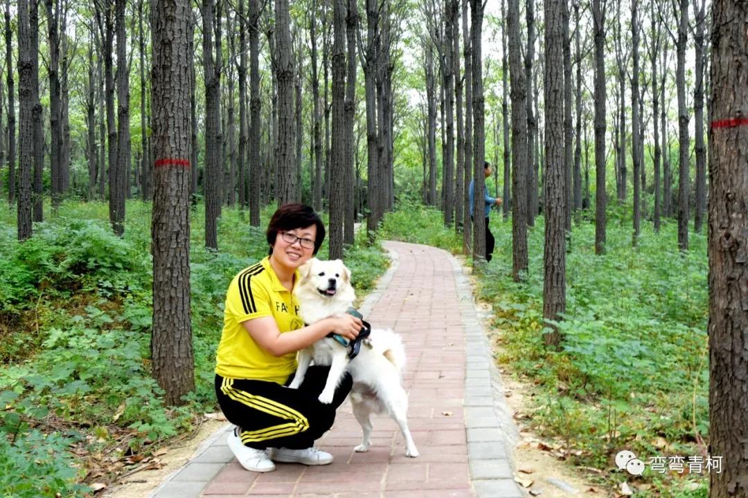 你看你看——大美洛宁的秋色!(图10)