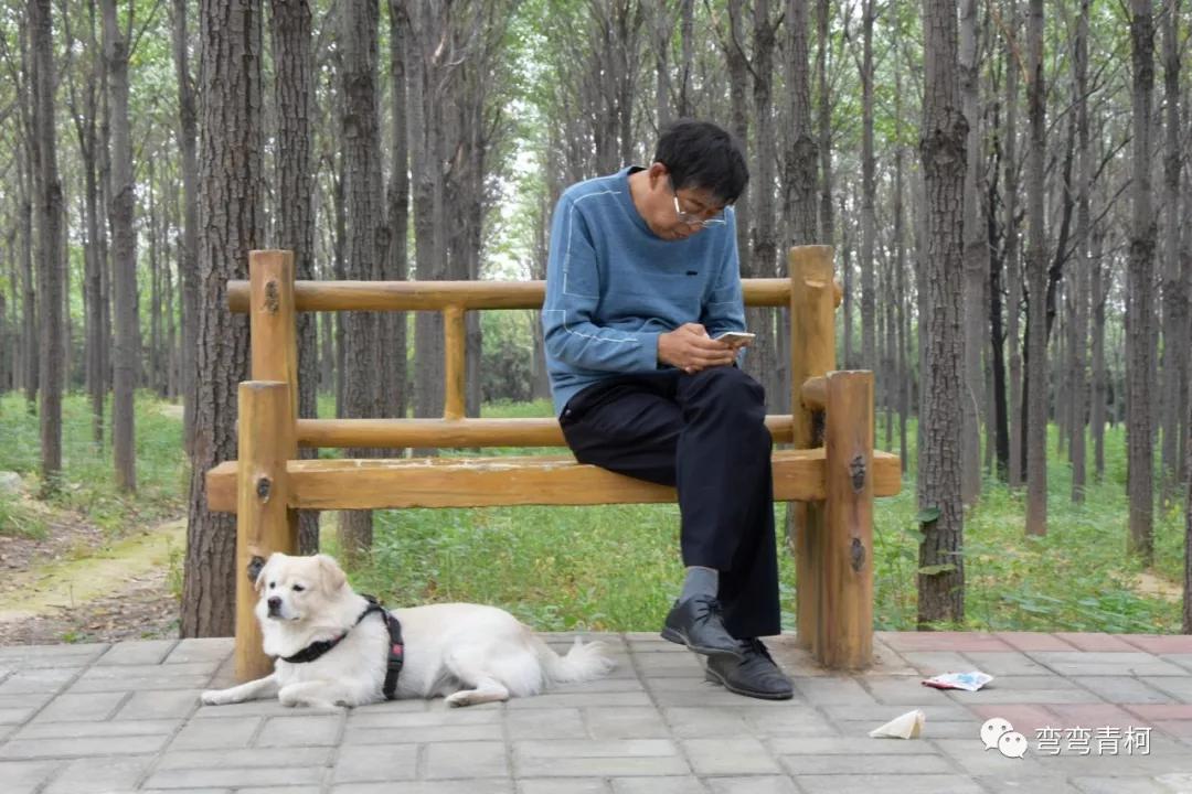 你看你看——大美洛宁的秋色!(图12)