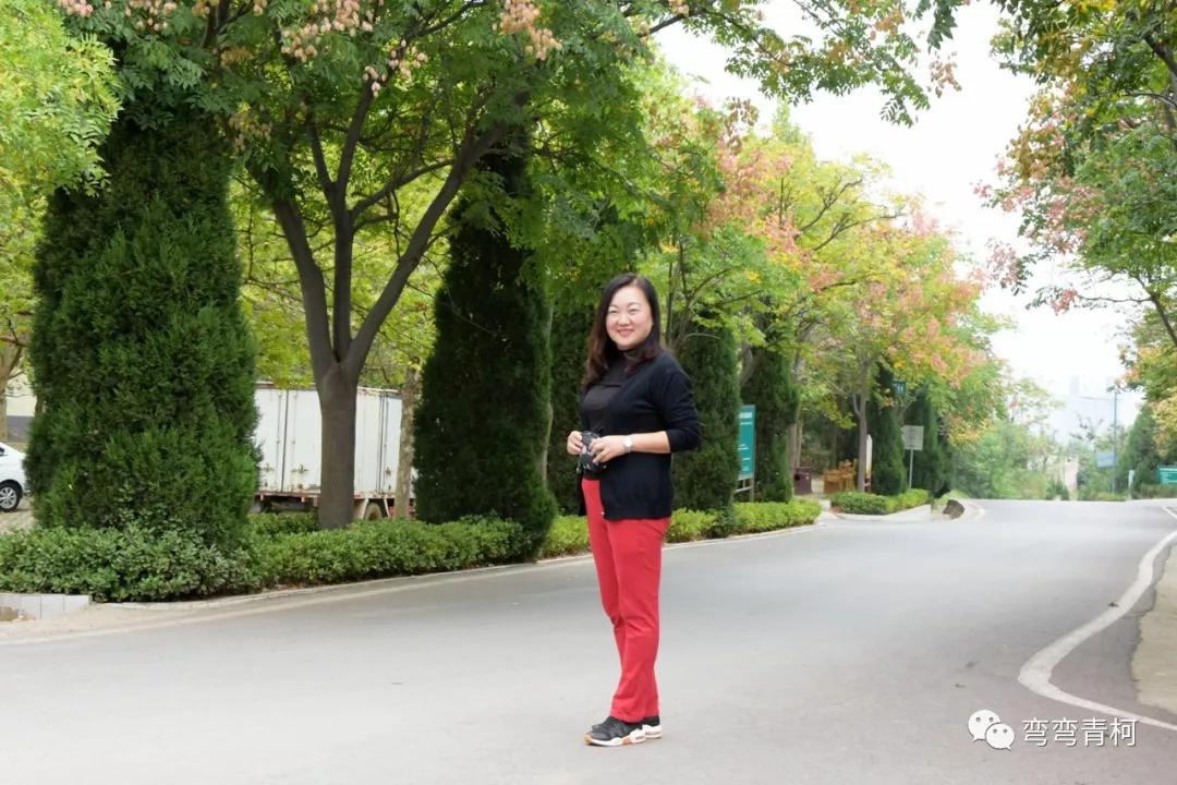 你看你看——大美洛宁的秋色!(图14)