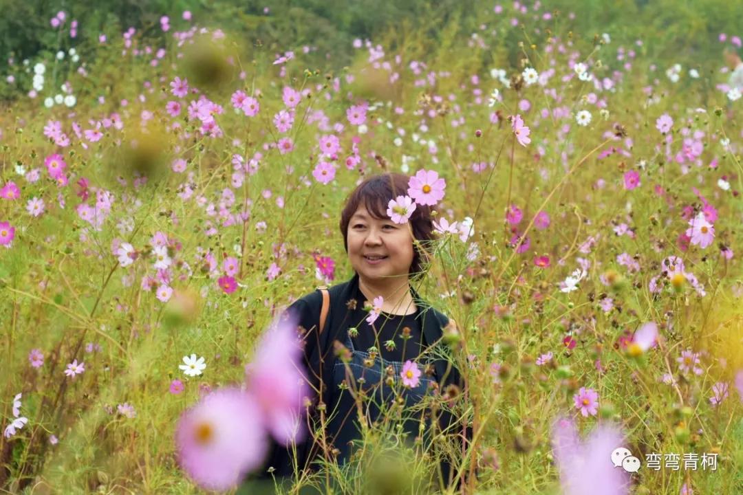 你看你看——大美洛宁的秋色!(图34)