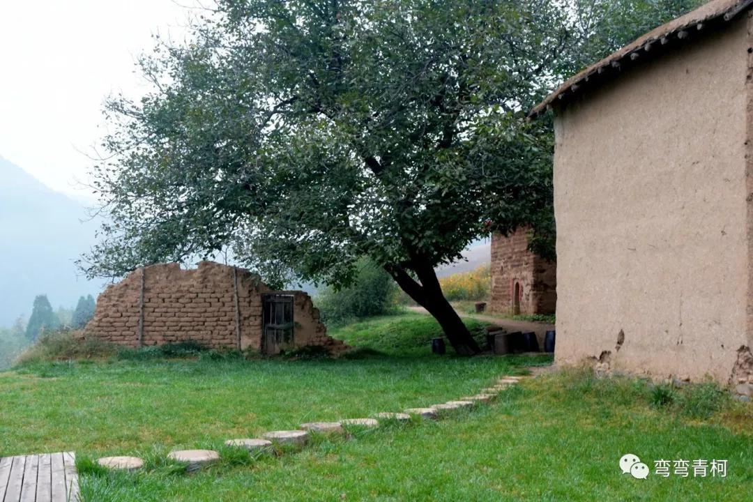 你看你看——大美洛宁的秋色!(图48)