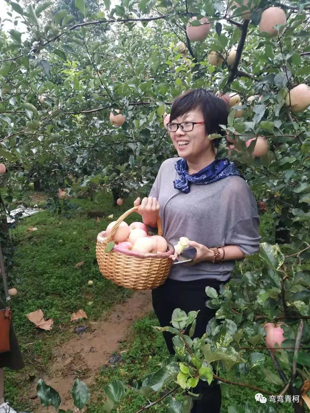 你看你看——大美洛宁的秋色!(图66)