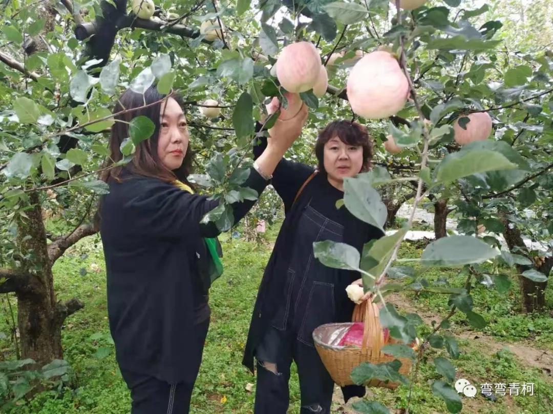你看你看——大美洛宁的秋色!(图67)