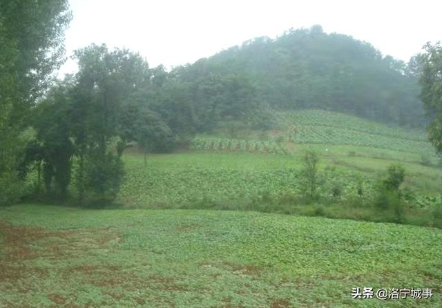 洛宁程卫东——高凹坪彭姓的传说(图4)