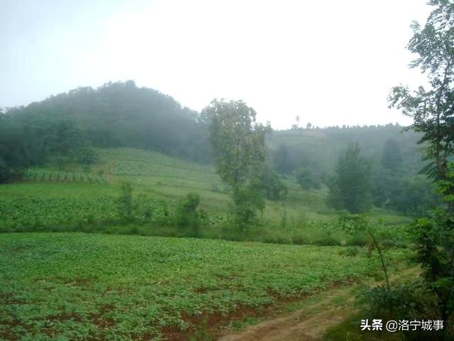 洛宁程卫东——高凹坪彭姓的传说(图5)