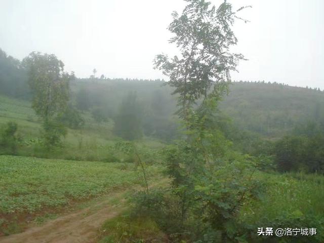 洛宁程卫东——高凹坪彭姓的传说(图7)