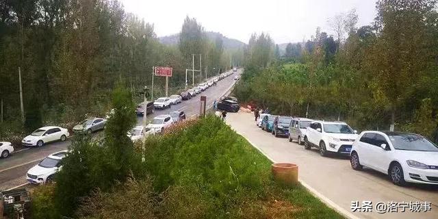 洛阳洛宁:“十一”假期印象(图15)
