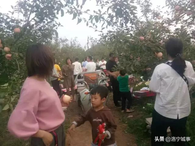 洛阳洛宁:“十一”假期印象(图19)