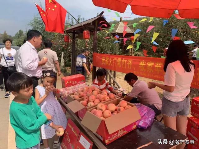 洛阳洛宁:“十一”假期印象(图20)