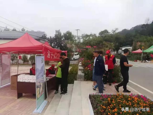 洛阳洛宁:“十一”假期印象(图21)