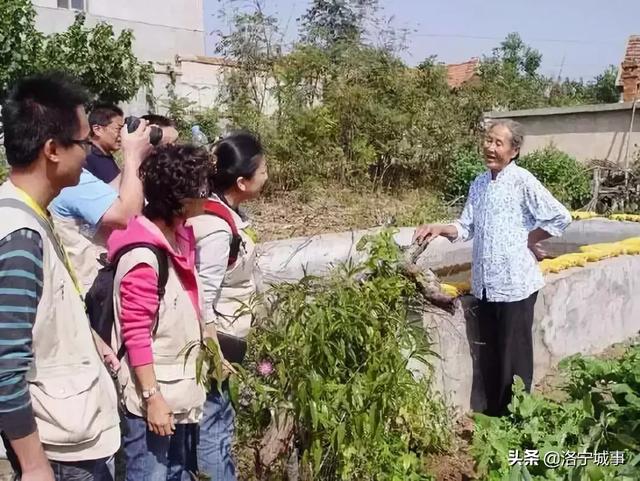 洛阳洛宁:“十一”假期印象(图24)