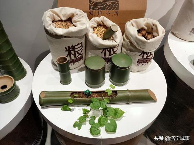 洛宁罗岭秋日印象(图8)
