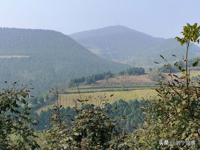 洛宁罗岭秋日印象(图10)