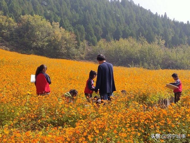 洛宁罗岭秋日印象(图14)