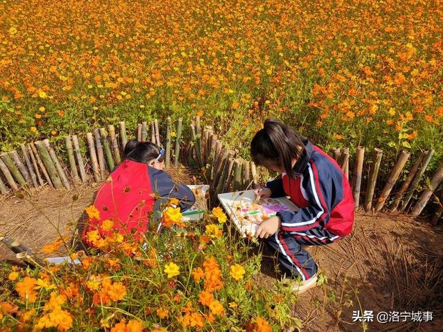 洛宁罗岭秋日印象(图15)