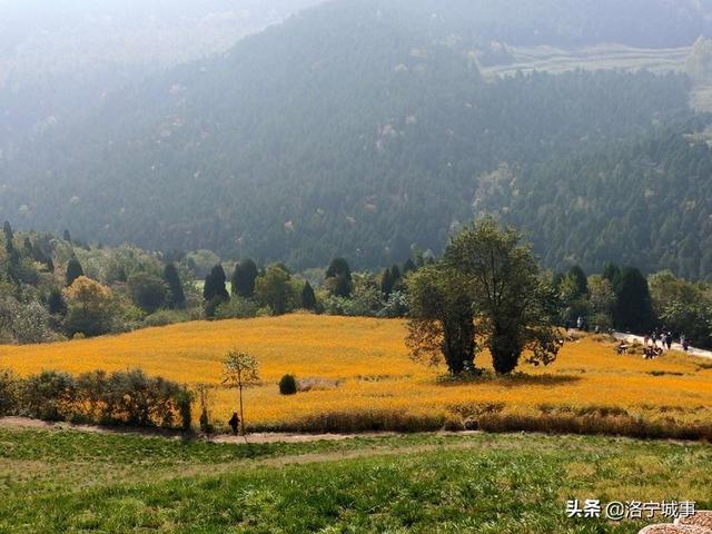 洛宁罗岭秋日印象(图19)