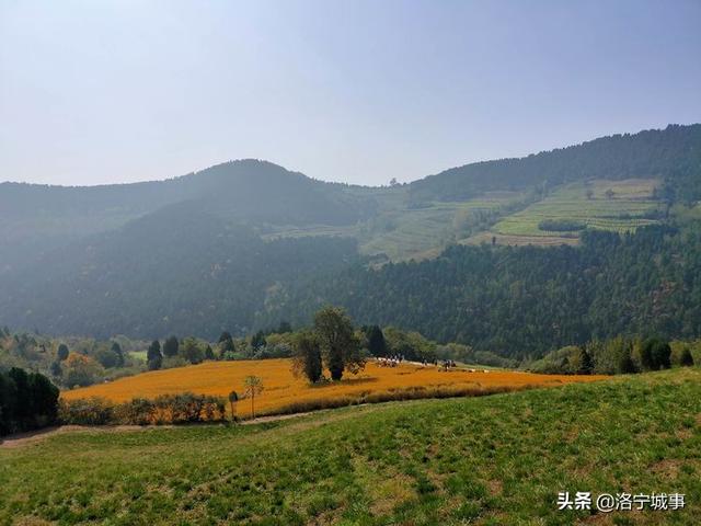 洛宁罗岭秋日印象(图21)