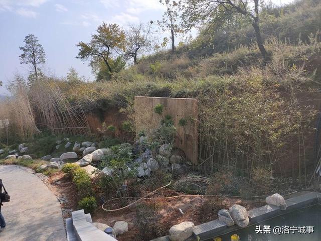 洛宁罗岭秋日印象(图35)