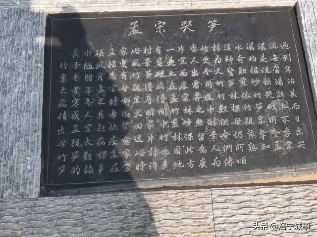 洛宁罗岭秋日印象(图44)