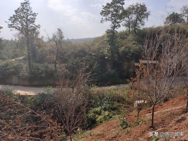 洛宁罗岭秋日印象(图58)