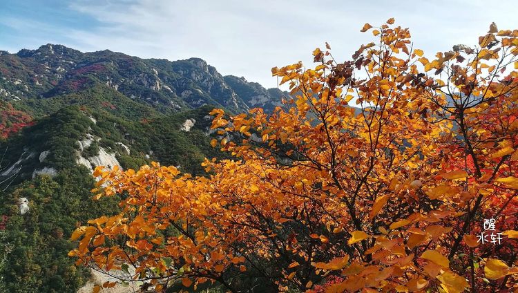 洛宁神灵红叶满山峰（图7）