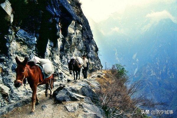 洛宁卫明新——云南旅游组诗二十首（图14）