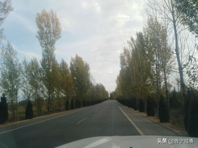 洛宁程志民——金秋红叶（图2）