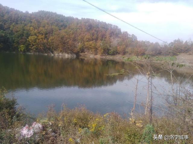 洛宁程志民——金秋红叶（图13）