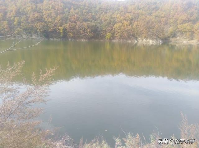 洛宁程志民——金秋红叶（图14）