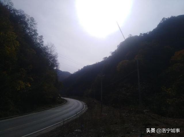 洛宁程志民——金秋红叶（图16）
