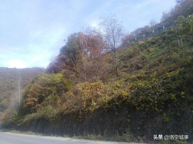 洛宁程志民——金秋红叶（图18）