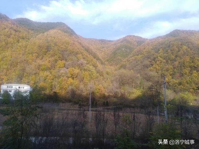 洛宁程志民——金秋红叶（图24）