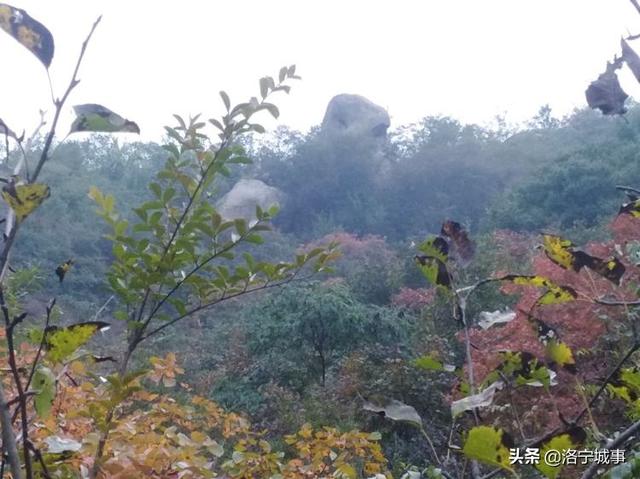 洛宁程志民——金秋红叶（图27）