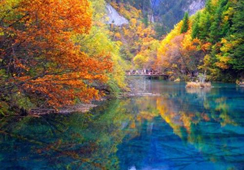 刘同芳：芦湖秋韵（图2）