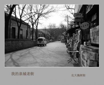 布建忠(小布丁):济南老街巷 北大槐树街