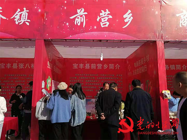 宝丰县前营乡:电商扶贫开辟脱贫致富路 宝丰县前营乡:电商扶贫开辟脱贫致富路