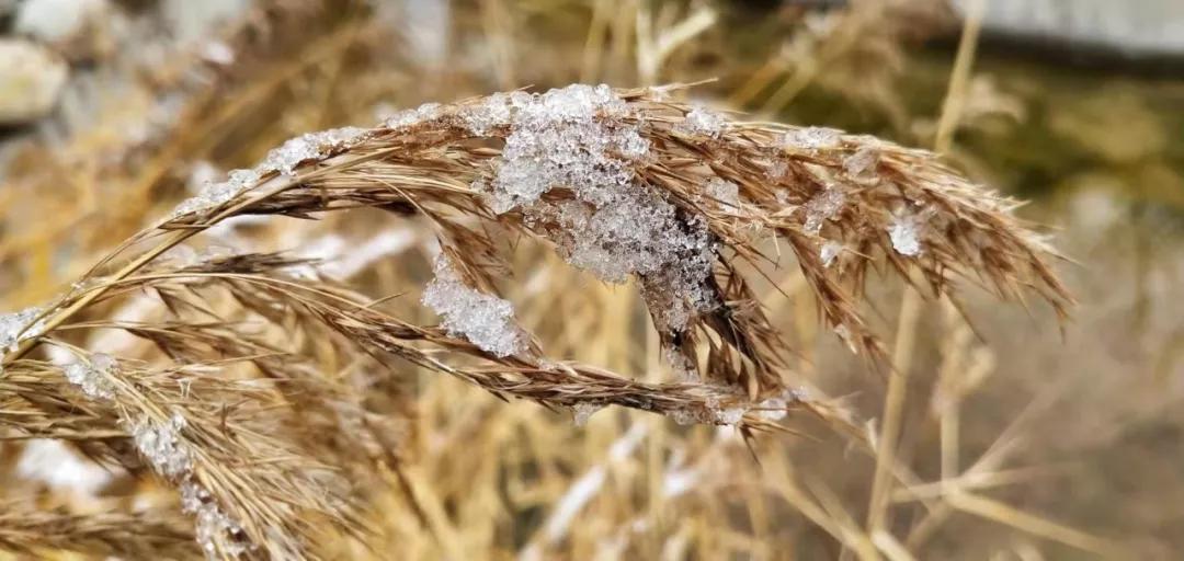 雪花纷飞飘进商山落水