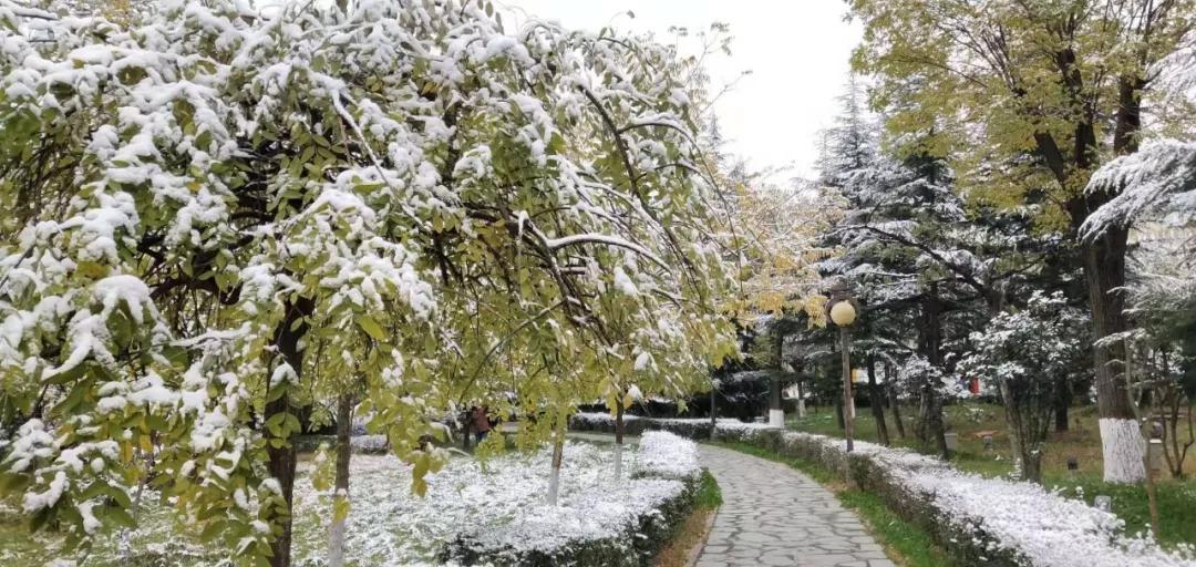 雪花纷飞飘进商山落水（图2）