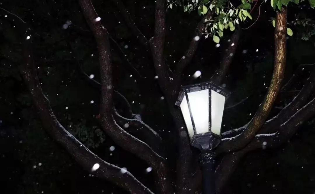 雪花纷飞飘进商山落水（图5）