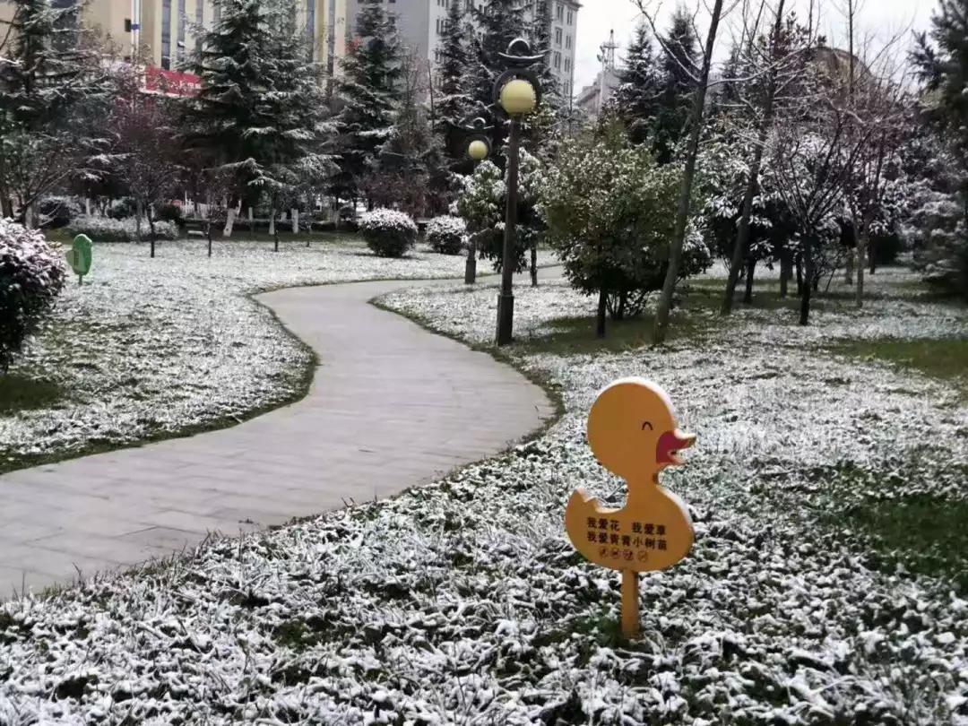 雪花纷飞飘进商山落水（图6）