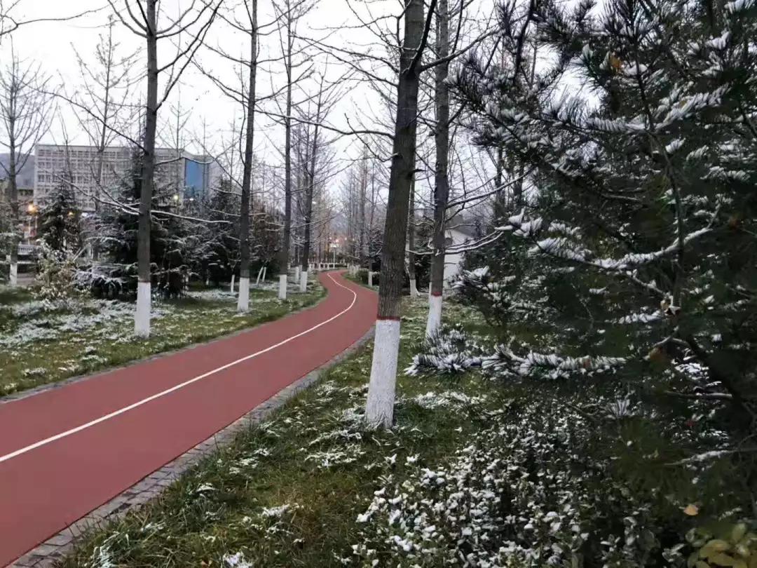 雪花纷飞飘进商山落水（图7）