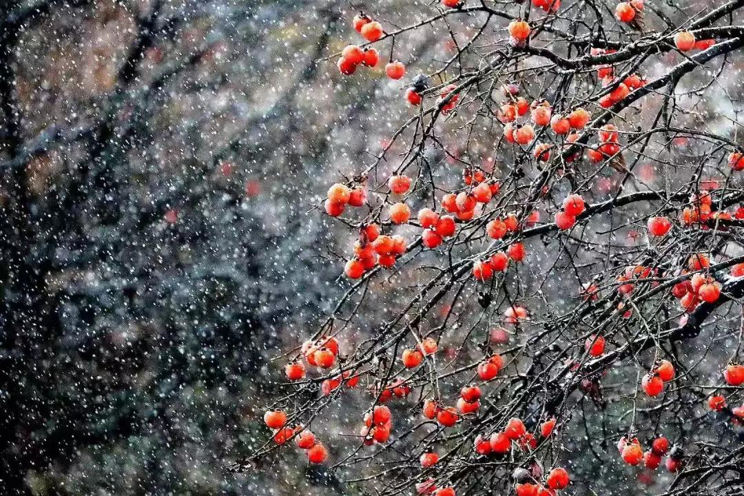 雪花纷飞飘进商山落水（图11）