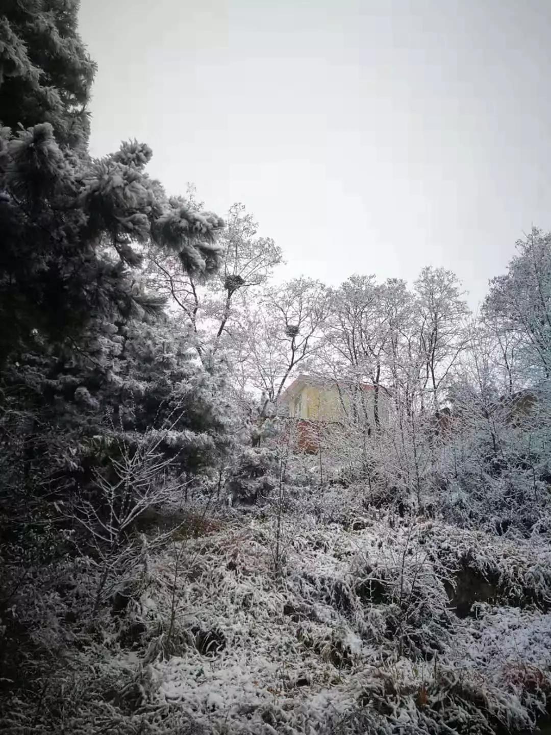 雪花纷飞飘进商山落水（图13）